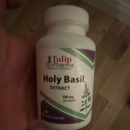 Tulip biopharma holy - tulip,
